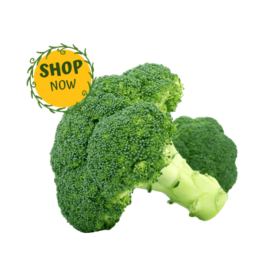 ব্রকলি Broccoli