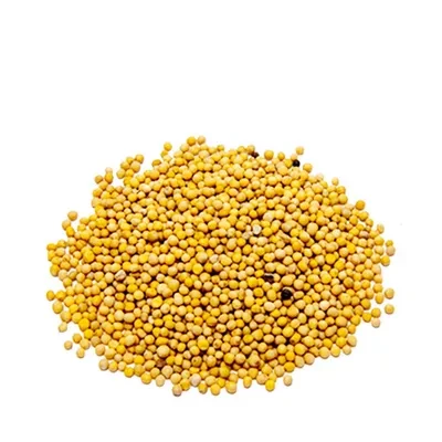 Mustarসরিষার বীজ (হলুদ) Mustard Seed (Yellow)d Seed (Yellow)