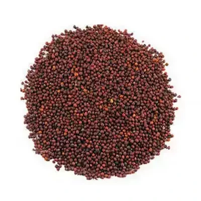 Mustard Seed (Red)