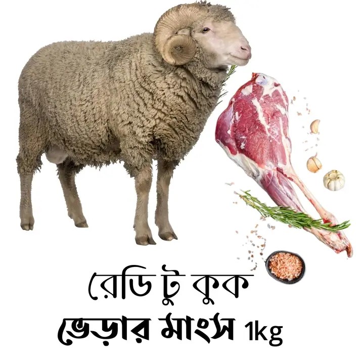 Sheep (ভেড়ার মাংস)