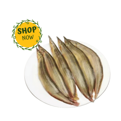 বাইন মাছ  Bine Fish (Processed)