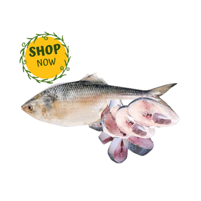 ইলিশ মাছ Hilsa Fish (Processed)